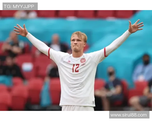 丹麦童话再续辉煌欧洲杯赛场上的传奇与梦想