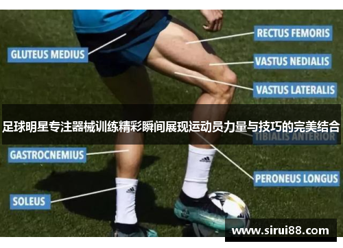 足球明星专注器械训练精彩瞬间展现运动员力量与技巧的完美结合