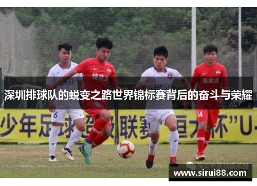 深圳排球队的蜕变之路世界锦标赛背后的奋斗与荣耀